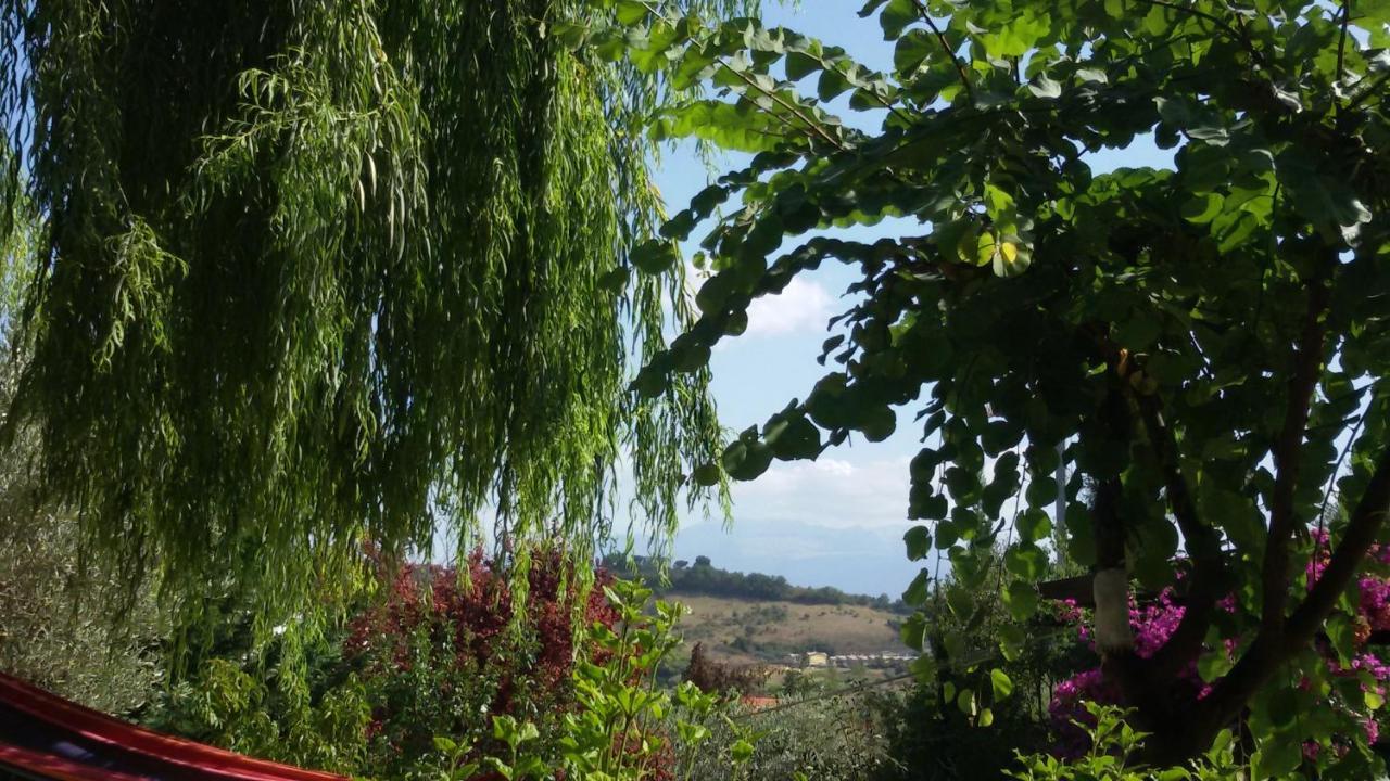 Vila Tre Cammelli In Collina Montesilvano Marina Exteriér fotografie